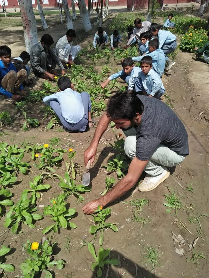 Green Seekers Activity